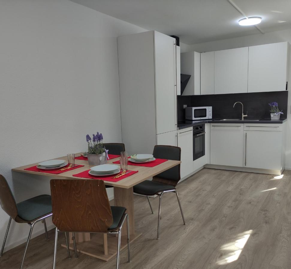 2 Zimmerwohnung In Bietingen Gottmadingen Exteriér fotografie